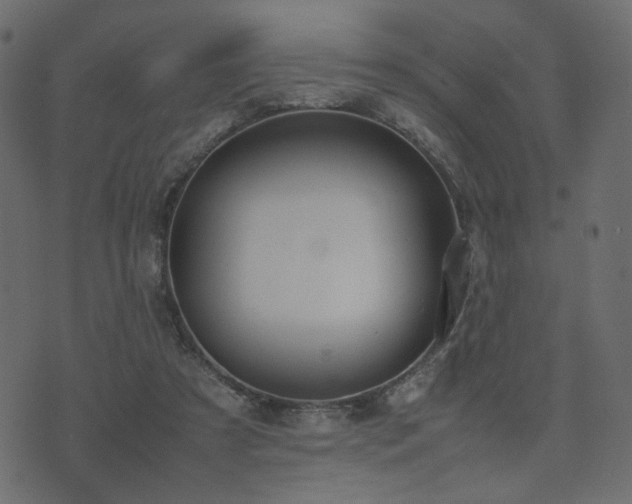 X0000074310305200608251242