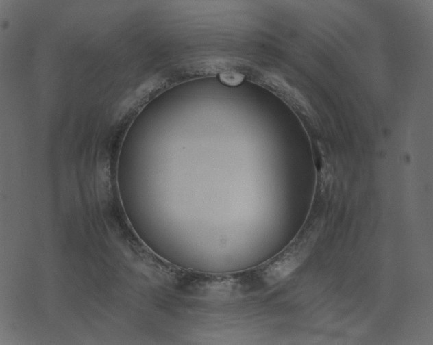 X0000074310306200608251242