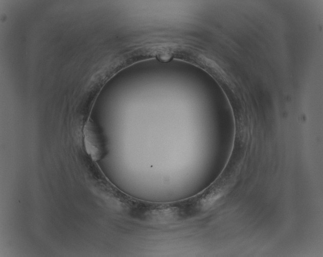 X0000074310307200608251242