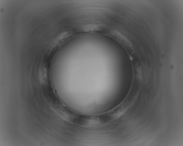 X0000074310308200608251242