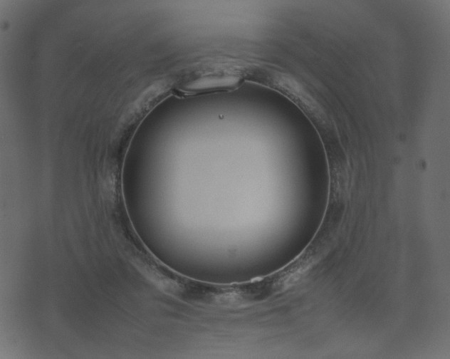 X0000074310309200608251242