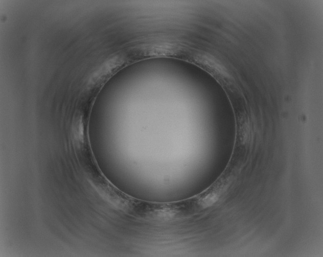 X0000074310310200608251242