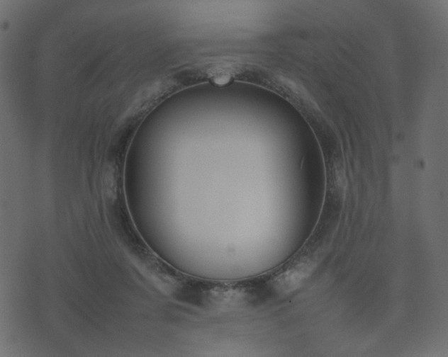 X0000074310311200608251242