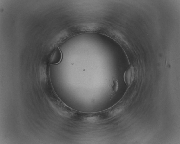 X0000074310312200608251242