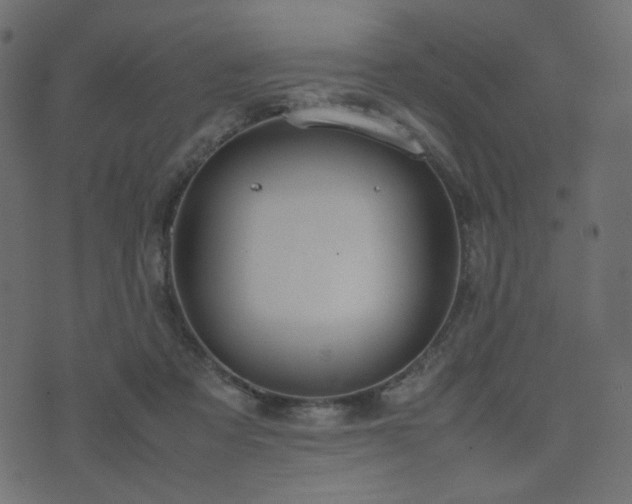 X0000074310313200608251242