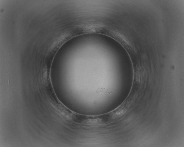 X0000074310314200608251242