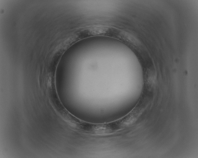 X0000074310315200608251242