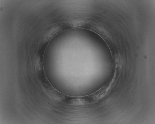 X0000074310316200608251242