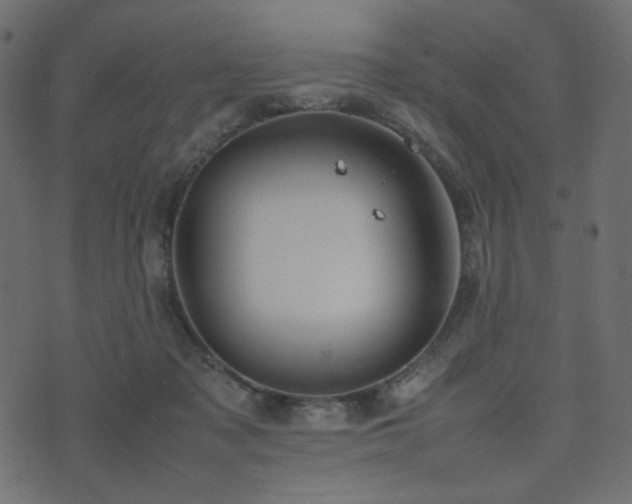 X0000074310317200608251242