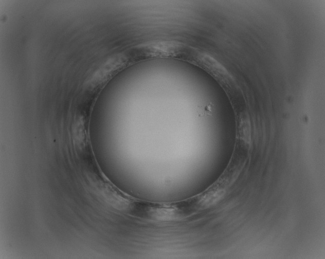 X0000074310318200608251242