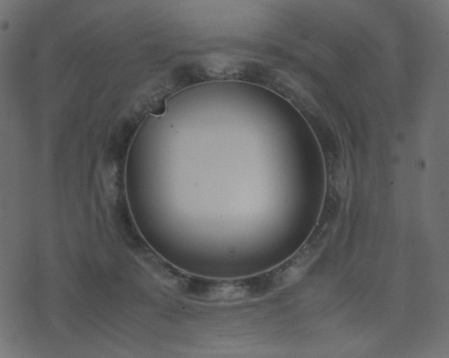 X0000074310319200608251242