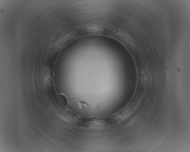 X0000074310320200608251242