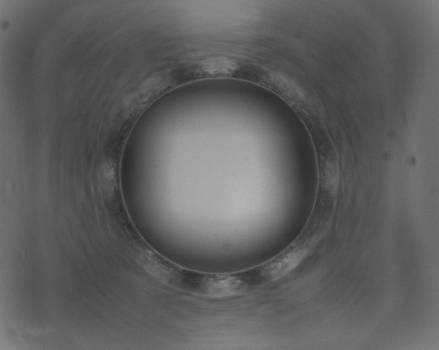 X0000074310321200608251242