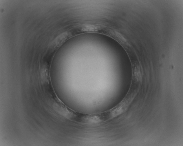 X0000074310322200608251242