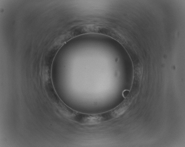 X0000074310323200608251242