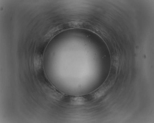 X0000074310324200608251242