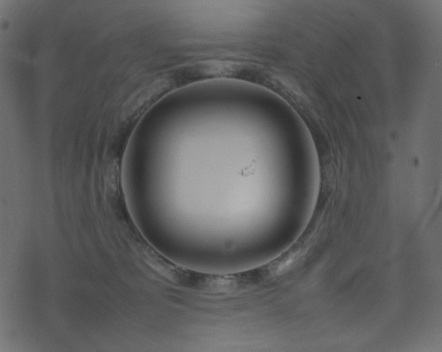 X0000074310325200608251242