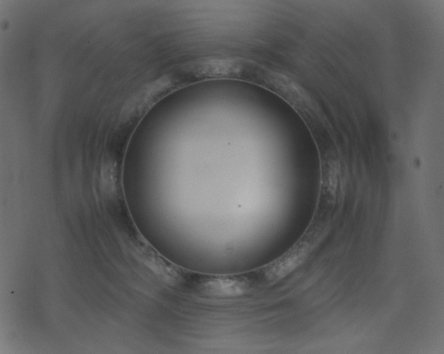 X0000074310326200608251242