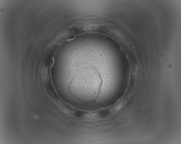 X0000074310327200608251242