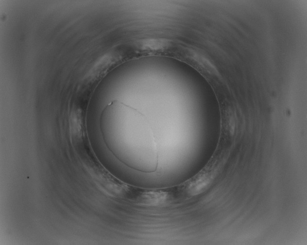 X0000074310328200608251242