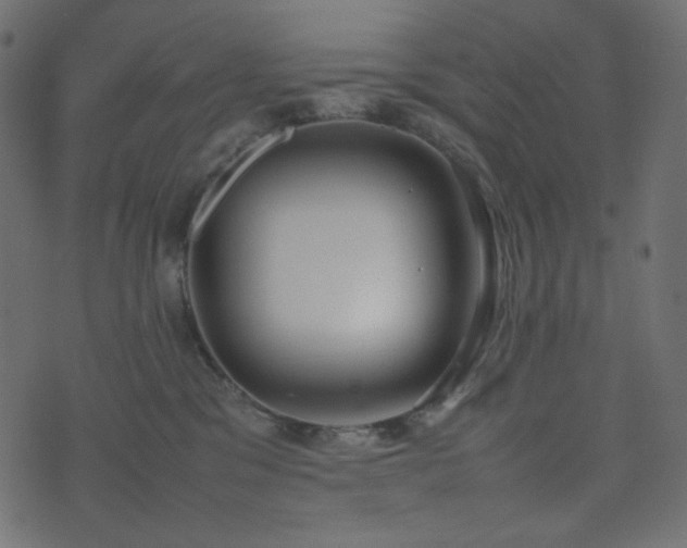 X0000074310329200608251242