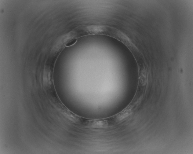 X0000074310330200608251242