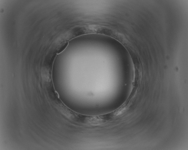 X0000074310331200608251242