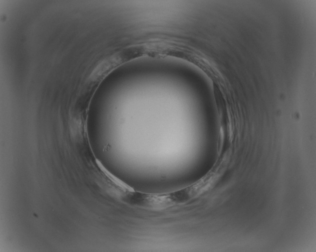 X0000074310333200608251242