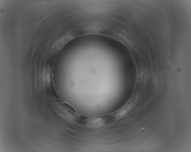 X0000074310334200608251242