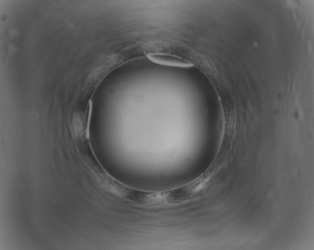 X0000074310335200608251242