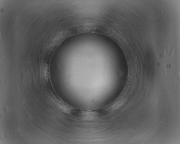 X0000074310336200608251242