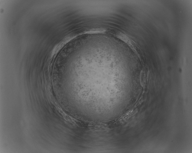 X0000074310337200608251241