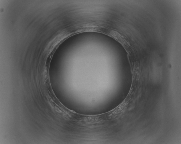 X0000074310338200608251241