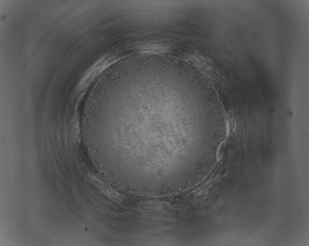 X0000074310339200608251241