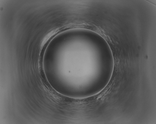 X0000074310340200608251241