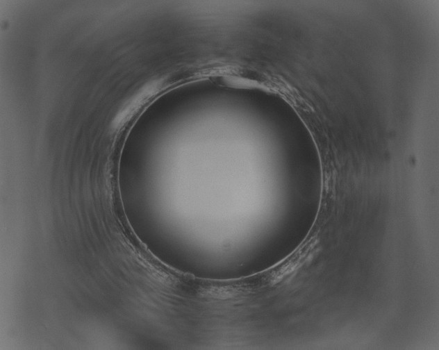 X0000074310341200608251241