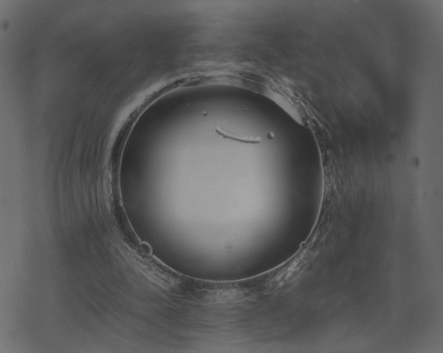 X0000074310342200608251241