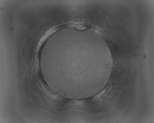 X0000074310343200608251241