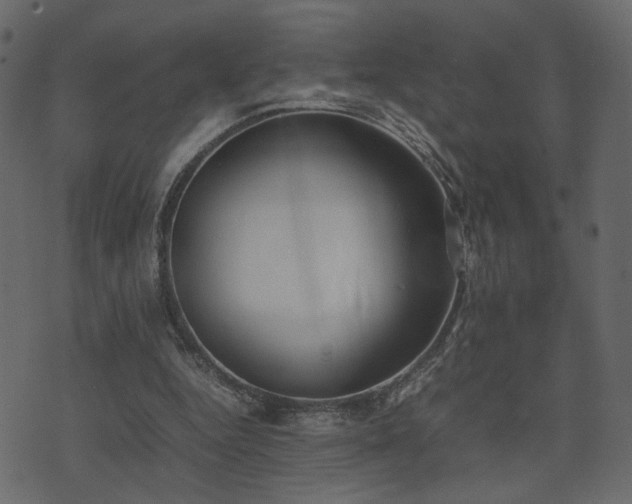 X0000074310344200608251241