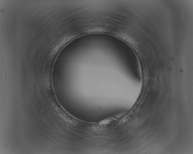 X0000074310345200608251241