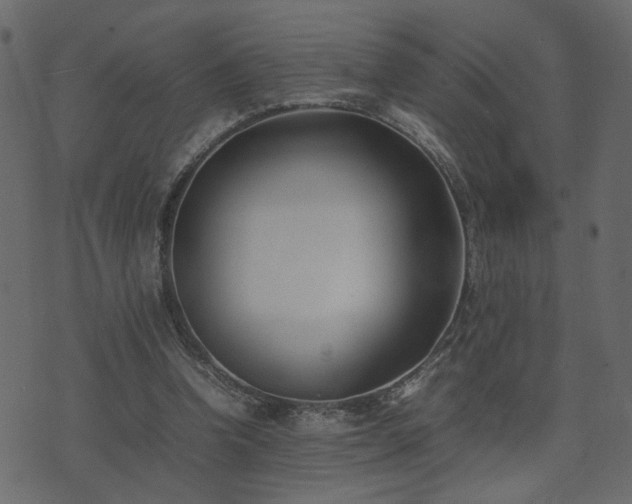 X0000074310346200608251241