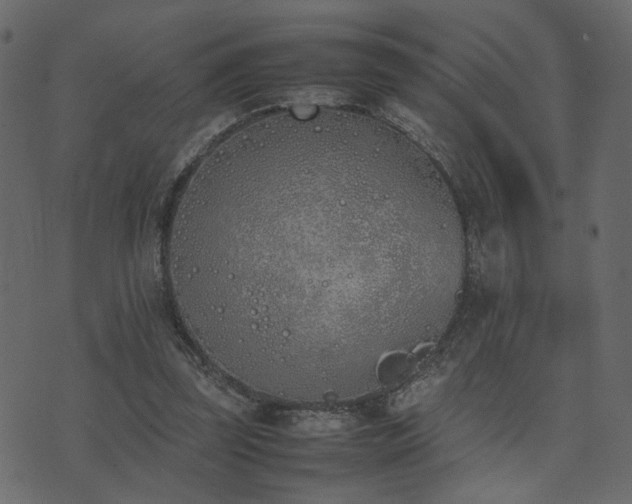 X0000074310347200608251241