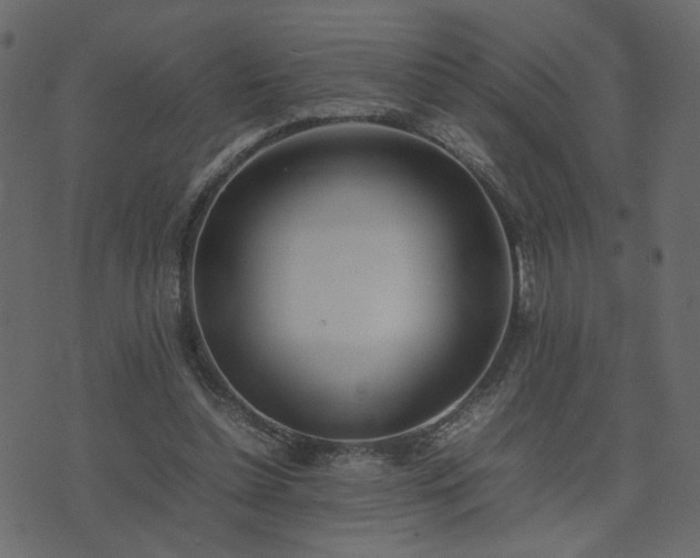 X0000074310348200608251241