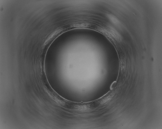 X0000074310349200608251241