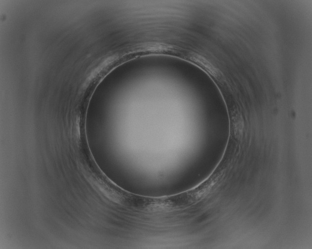 X0000074310350200608251241