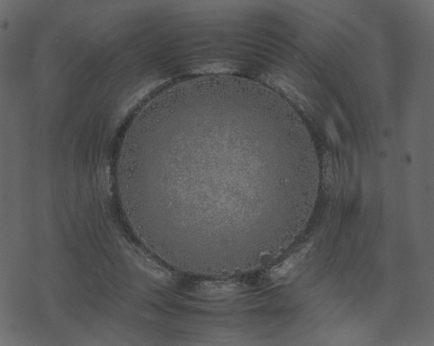 X0000074310351200608251241