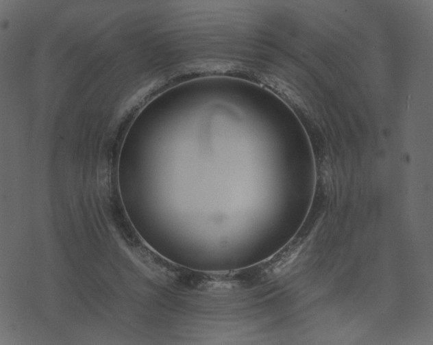 X0000074310352200608251241