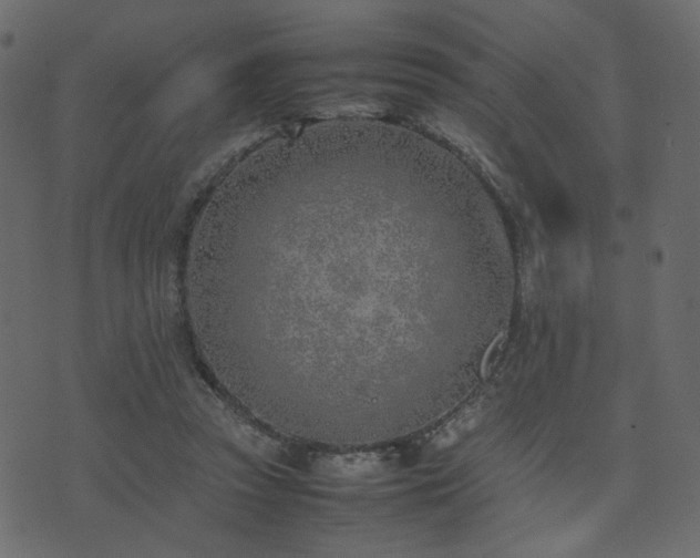 X0000074310353200608251241