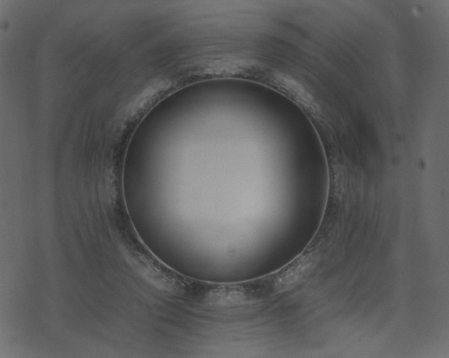 X0000074310354200608251241