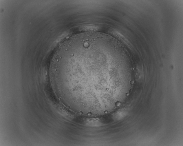 X0000074310355200608251241